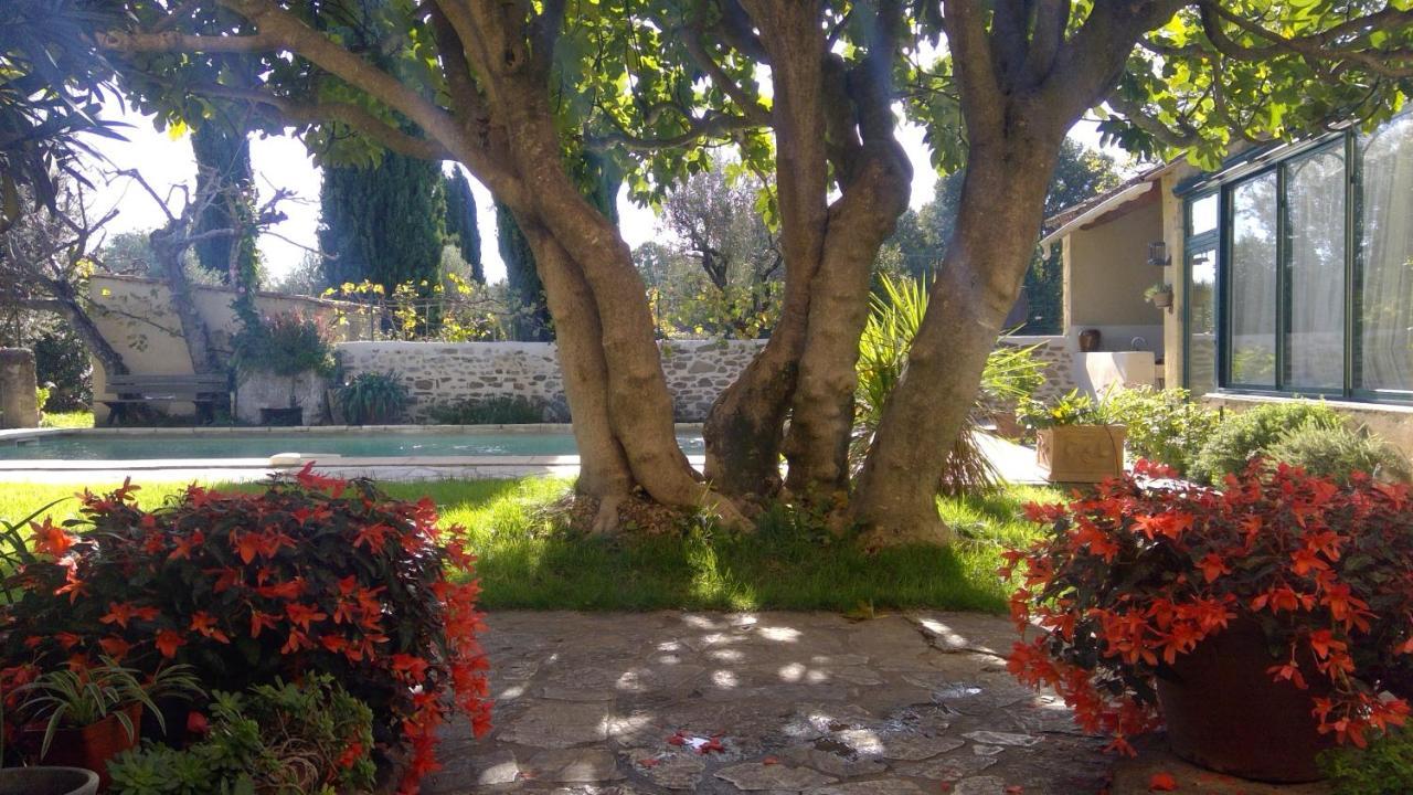 Sous Le Figuier... Buisson Exterior foto