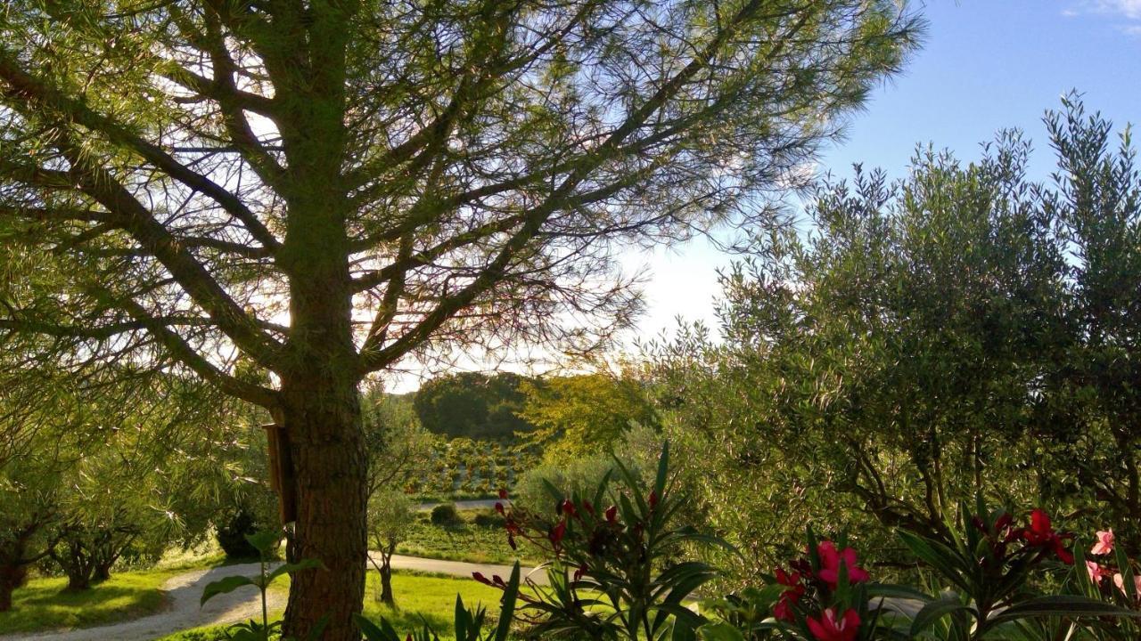 Sous Le Figuier... Buisson Exterior foto